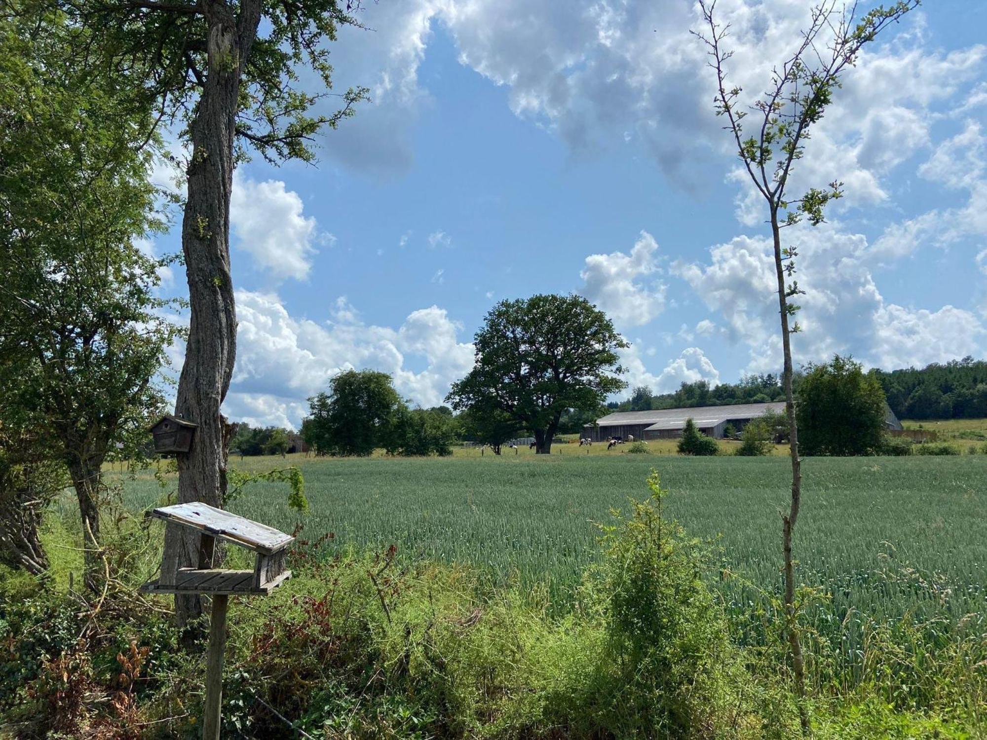 Sophisticated Holiday Home In Lierneux Near Forest Eksteriør billede