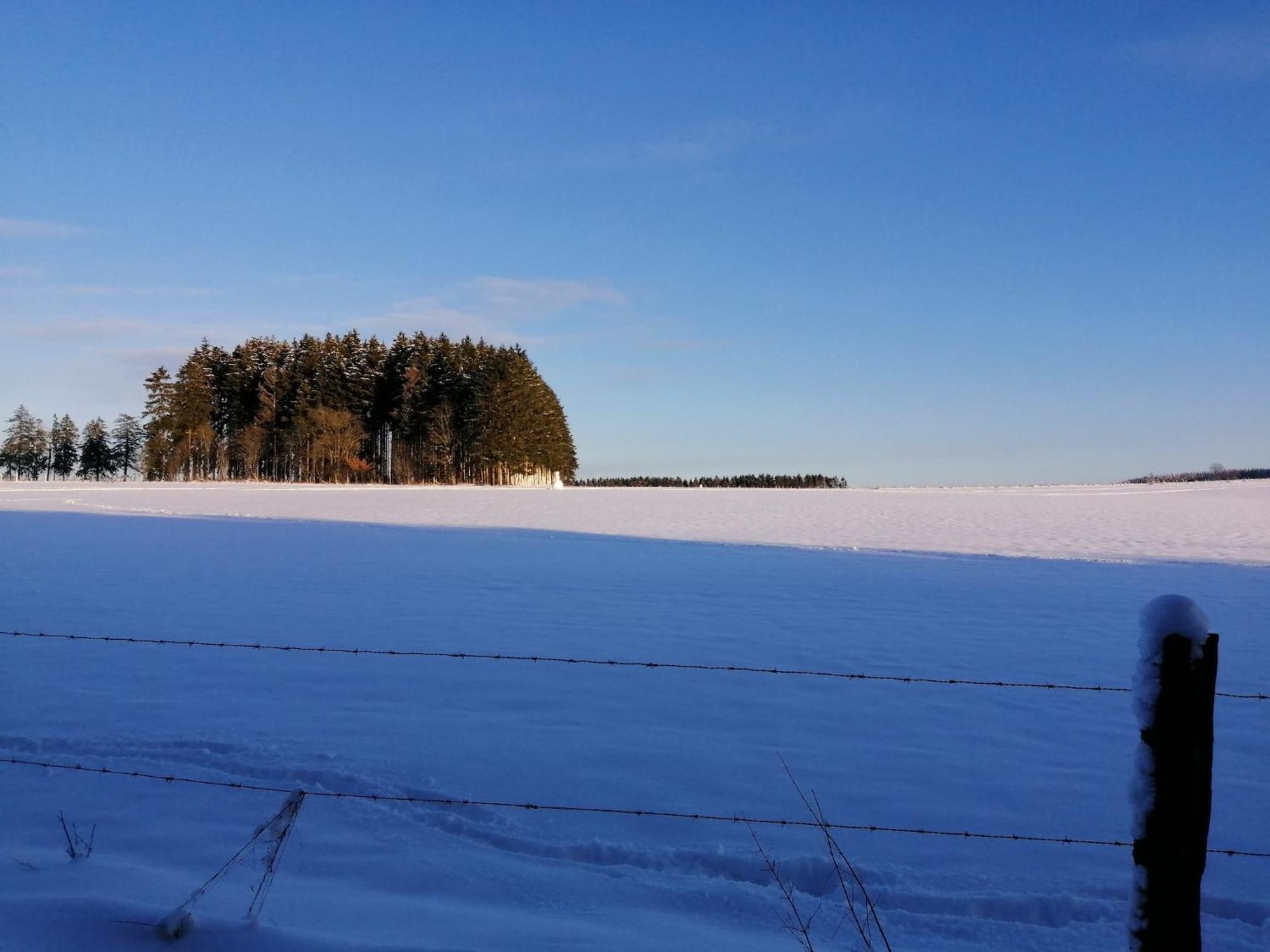 Sophisticated Holiday Home In Lierneux Near Forest Eksteriør billede