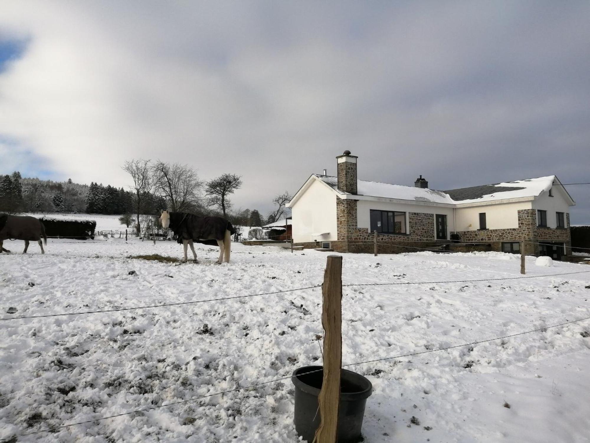 Sophisticated Holiday Home In Lierneux Near Forest Eksteriør billede