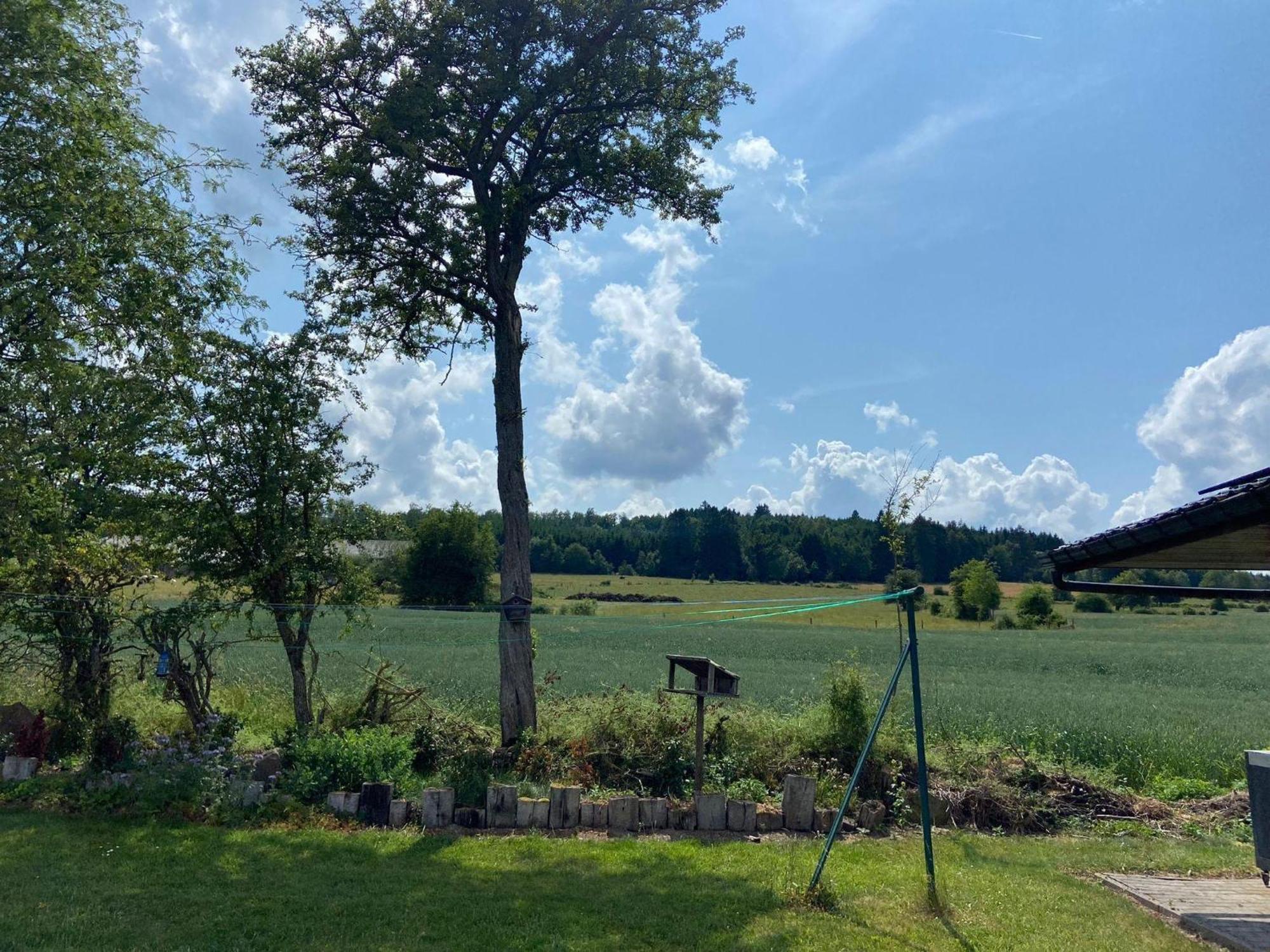 Sophisticated Holiday Home In Lierneux Near Forest Eksteriør billede