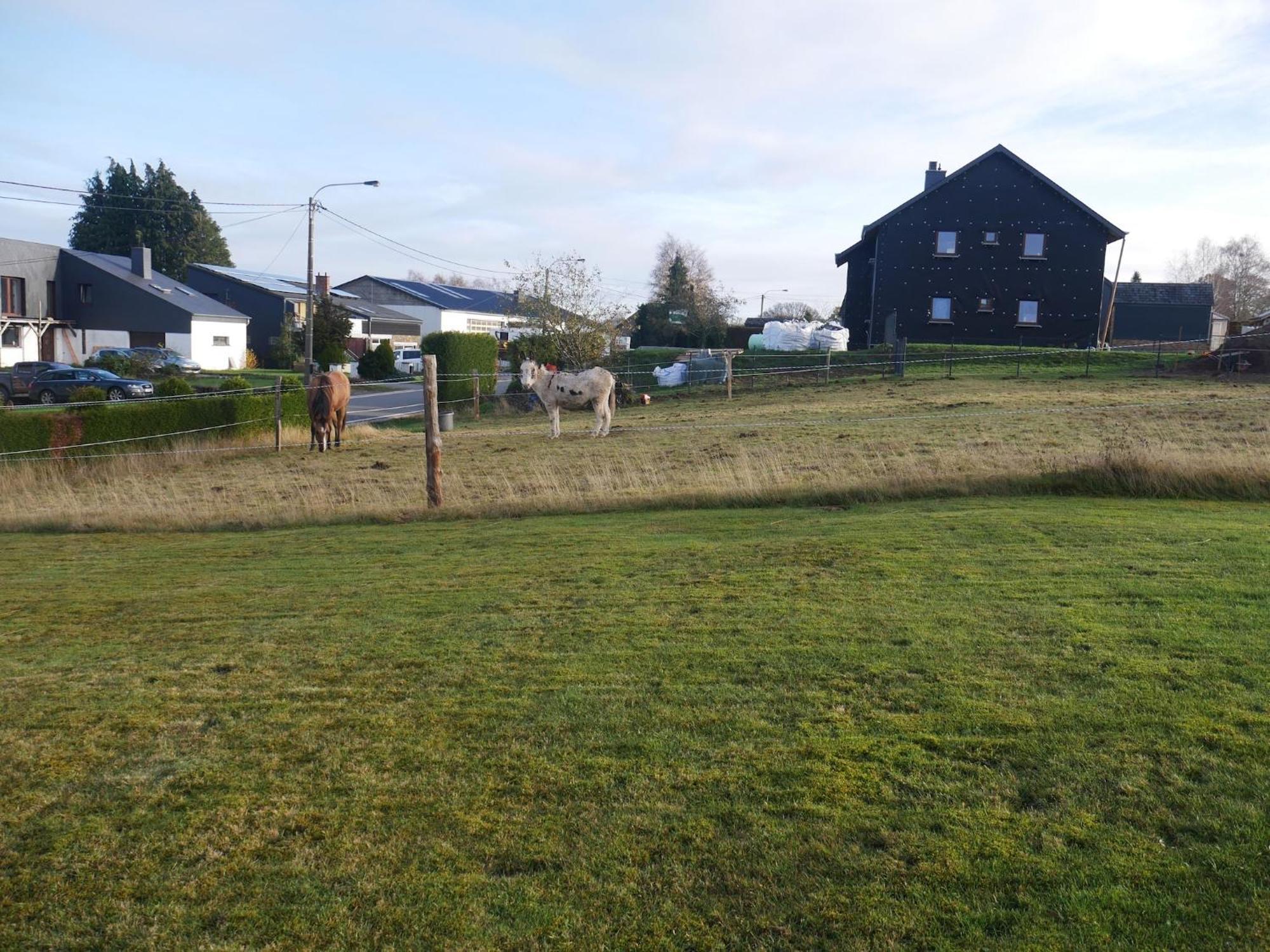 Sophisticated Holiday Home In Lierneux Near Forest Eksteriør billede