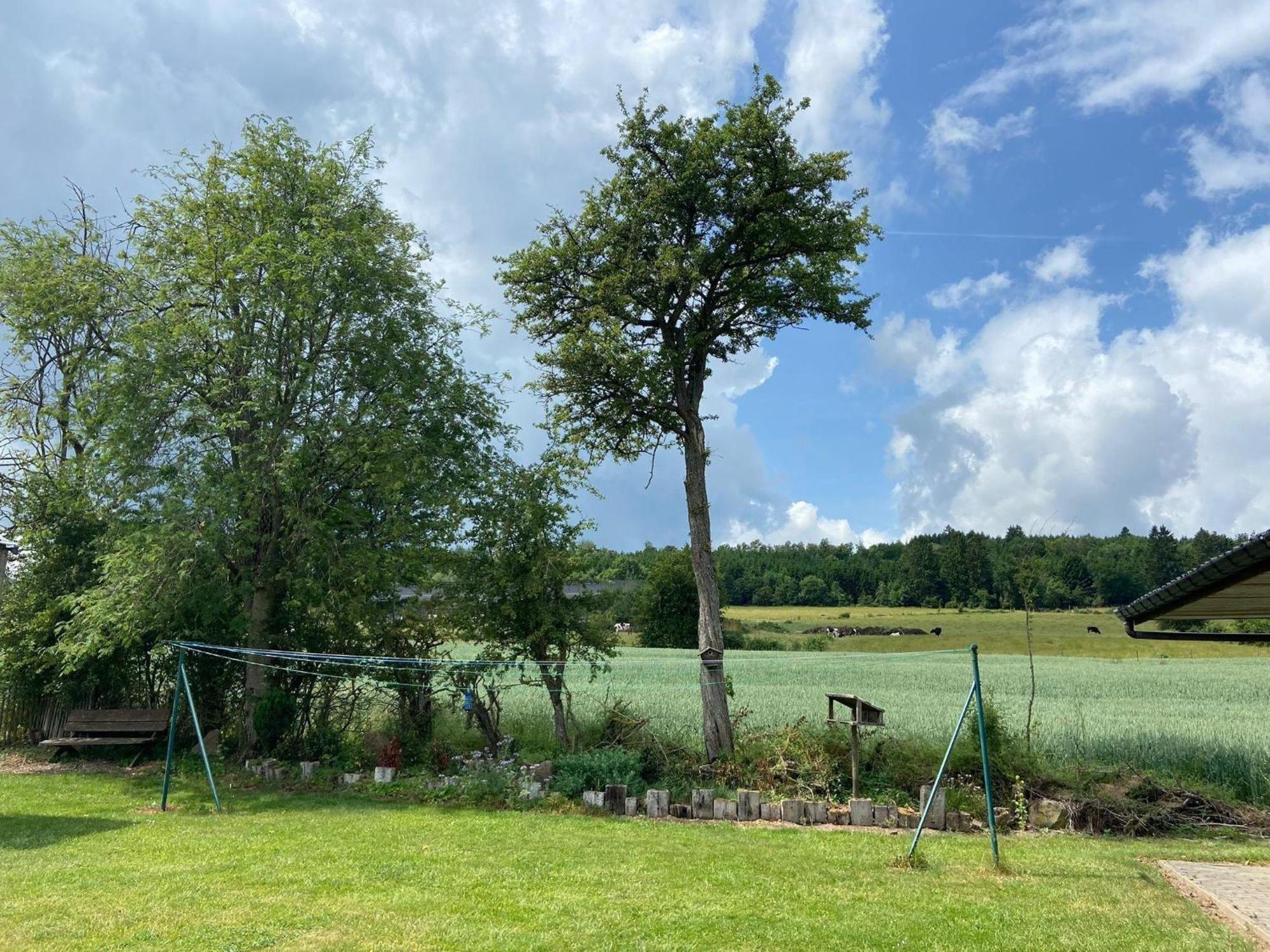 Sophisticated Holiday Home In Lierneux Near Forest Eksteriør billede